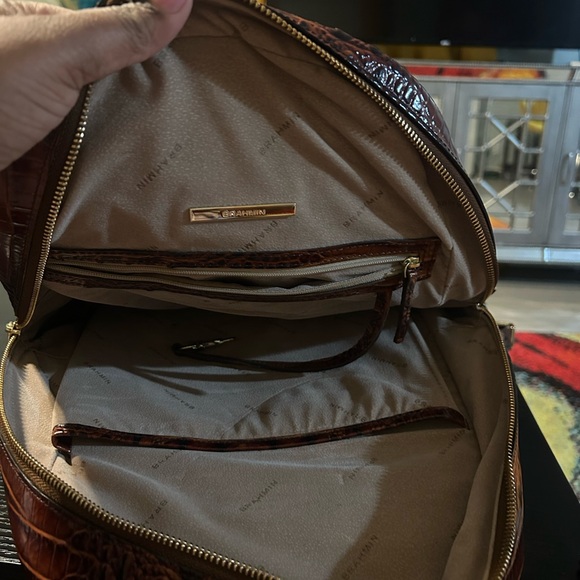 Brown Crocodile Embossed Backpack - Picture 2 of 2